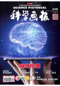 科学画报